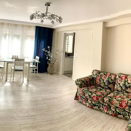 Puig Comfort Daire